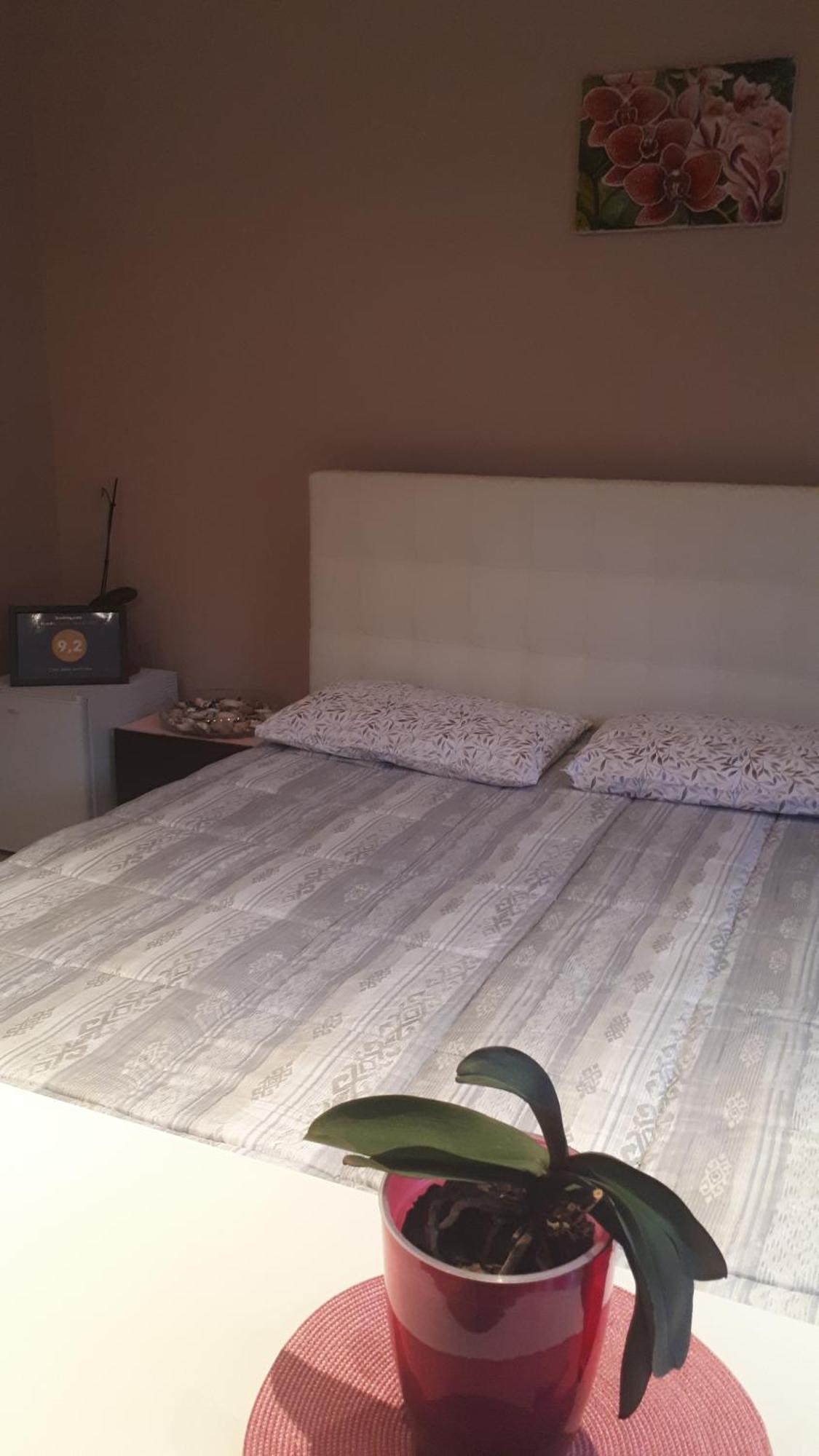 Casa Delle Orchidee Otel Alba  Oda fotoğraf